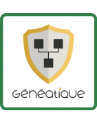 Généatique